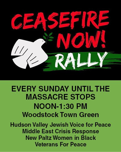 ceasefire now rally in Woodstock